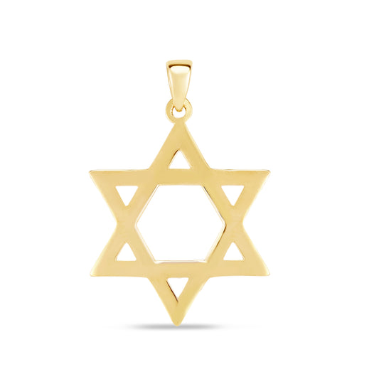 Royal Chain 14K Gold Polished Star of David PD9681