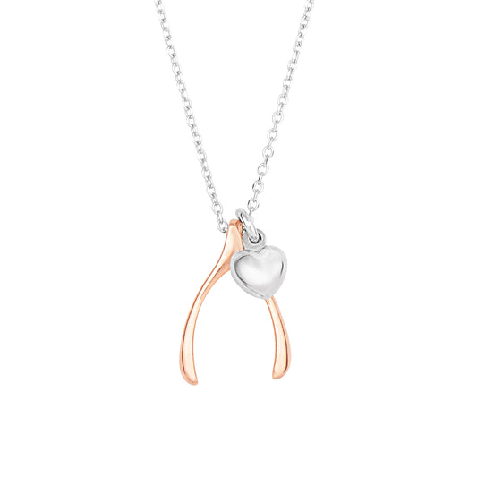 Royal Chain Silver Wishbone Necklace AGN2836