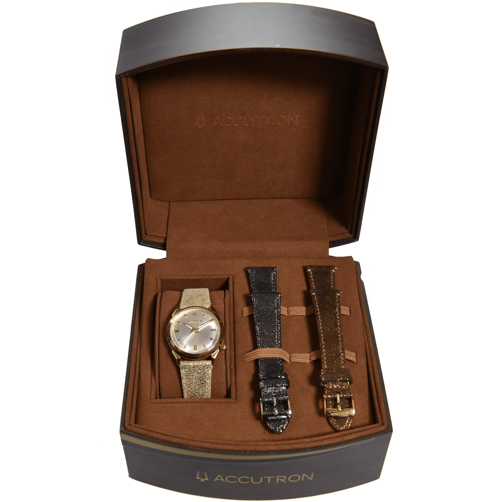 Accutron Stainless Steel Electrostatic Mens Watch 2SW7A004LK