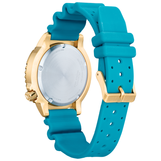 Promaster Dive BN0162-02X
