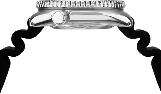 Seiko Prospex Automatic Diver Watch SRPE93