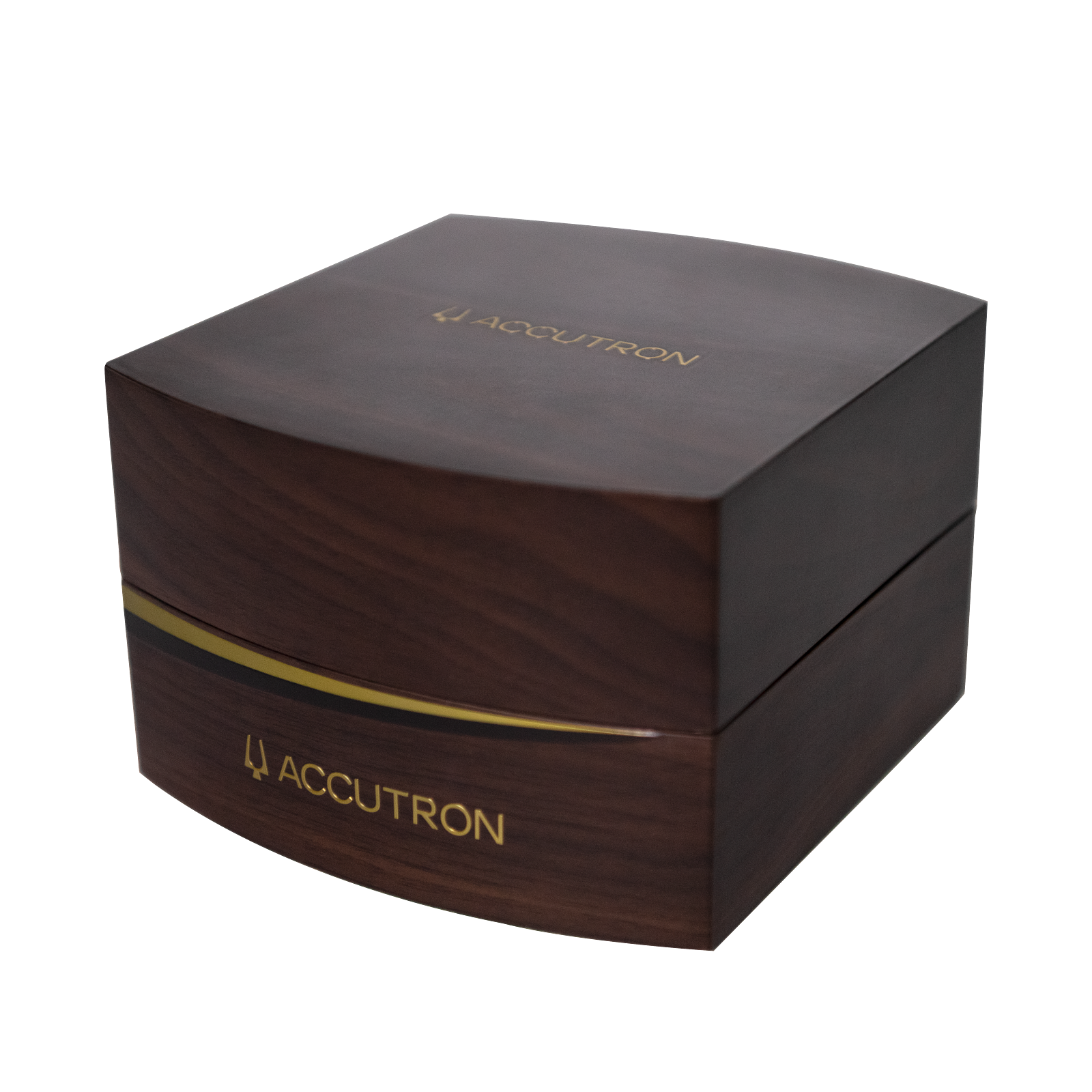 Accutron Stainless Steel Electrostatic Mens Watch 2ES6A001