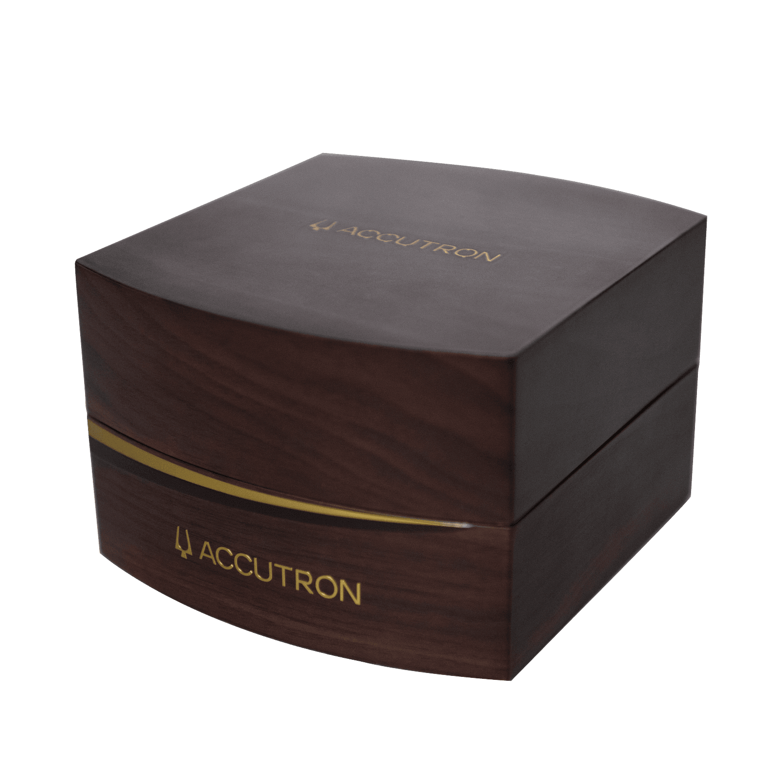 Accutron Stainless Steel Astronaut Mens Watch 26A210